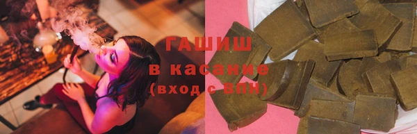 крисы Богородицк
