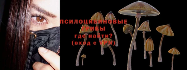 таблы Богородск