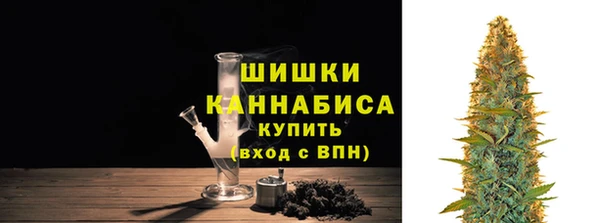 дживик Нягань