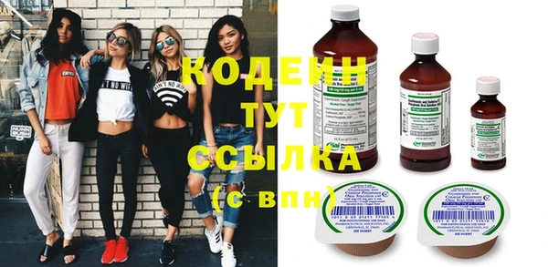 крисы Богородицк