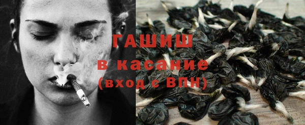 крисы Богородицк