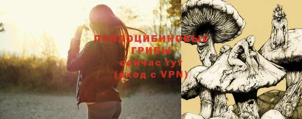 мескалин Богданович
